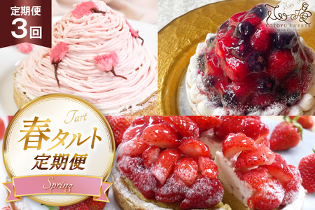 いちご ケーキ 春 タルト 3種 1ホール 14cm 3回 定期便 総計3ホール [心優-Cotoyu Sweets- 長崎県 平戸市 hr42bgy420476]