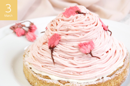 いちご ケーキ 春 タルト 3種 1ホール 14cm 3回 定期便 総計3ホール [心優-Cotoyu Sweets- 長崎県 平戸市 hr42bgy420476]