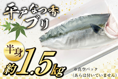 ぶり 刺身 平戸なつ香 ブリ 半身 約1.5kg [（株）坂野水産 長崎県 平戸市 hr42bgy420066]
