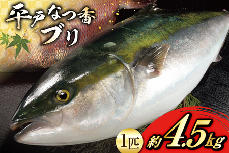 ぶり 刺身 平戸なつ香 ブリ 丸々 1匹 約4.5kg [（株）坂野水産 長崎県 平戸市 hr42bgy420491]