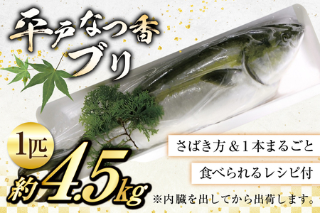 ぶり 刺身 平戸なつ香 ブリ 丸々 1匹 約4.5kg [（株）坂野水産 長崎県 平戸市 hr42bgy420491]