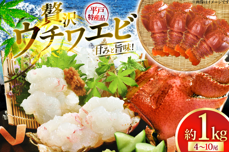 ウチワエビ えび 刺身 平戸 ウチワエビ 三昧 1000g [平戸さくら水産 長崎県 平戸市 hr42bgy420148]