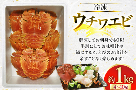 ウチワエビ えび 刺身 平戸 ウチワエビ 三昧 1000g [平戸さくら水産 長崎県 平戸市 hr42bgy420148]