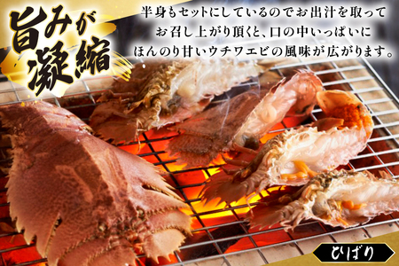 うちわえび エビ 海老 刺身 しゃぶしゃぶ 海鮮 ウチワエビ刺身 約200g・ウチワエビ半身 約400g セット 総計600g [ひばり 長崎県 平戸市 hr42bgy420035]