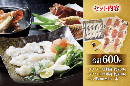 うちわえび エビ 海老 刺身 しゃぶしゃぶ 海鮮 ウチワエビ刺身 約200g・ウチワエビ半身 約400g セット 総計600g [ひばり 長崎県 平戸市 hr42bgy420035]