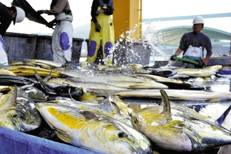 かまぼこ 詰め合わせ 生月の特選 蒲鉾 7種 セット [舘浦漁業 長崎県 平戸市 hr42bgy420225]