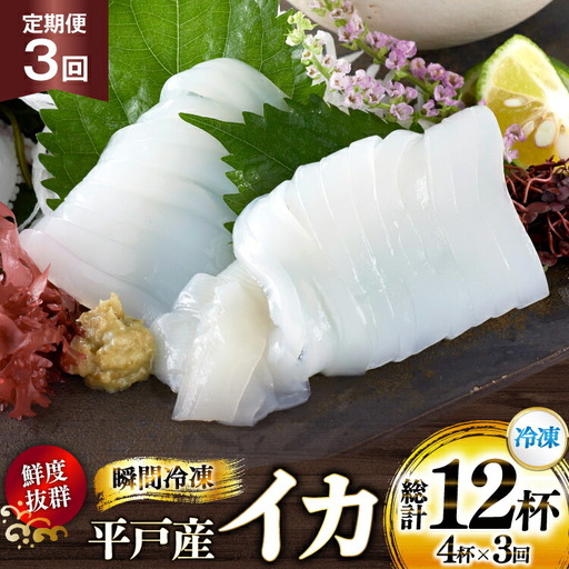 海鮮 魚介 イカ 4杯 1パック（冷凍） 3回 定期便 [舘浦漁協 長崎県 平戸市 hr42bgy420358]