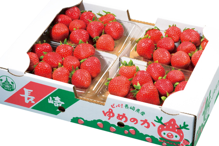 【期間限定発送】 いちご ゆめのか 250g × 4パック Lサイズ 以上 [ひらど新鮮市場 長崎県 平戸市 hr42bgy400008]