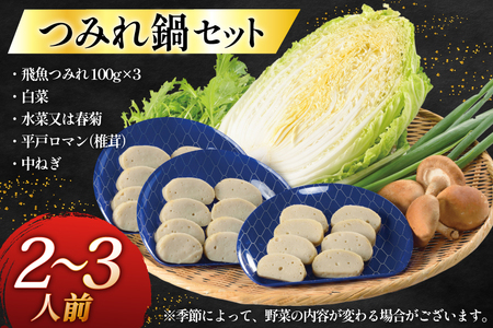 鍋セット 野菜付き 飛魚つみれ鍋 セット 2～3人前 [ひらど新鮮市場 長崎県 平戸市 hr42bgy400014]