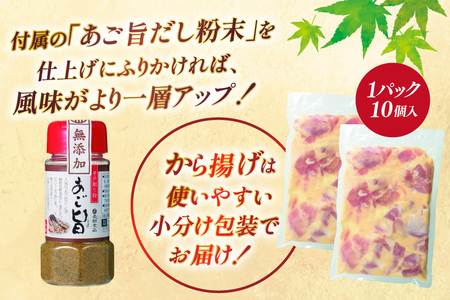 唐揚げ 冷凍 あごだし から揚げ 約 1kg 500g 2袋 [ひらど新鮮市場 長崎県 平戸市 hr42bgy400092]