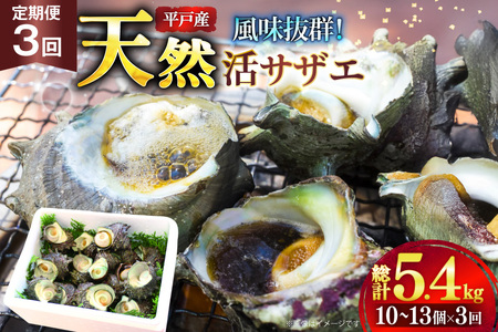サザエ つぼ焼き 天然 活サザエ 1.8kg 3回 定期便 計 5.4kg [ひらど新鮮市場 長崎県 平戸市 hr42bgy400126]