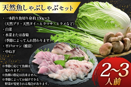 魚 しゃぶしゃぶ 平戸産 天然魚 しゃぶしゃぶセット 安心の地元 野菜付 2～3人前 [ひらど新鮮市場 長崎県 平戸市 hr42bgy400138]
