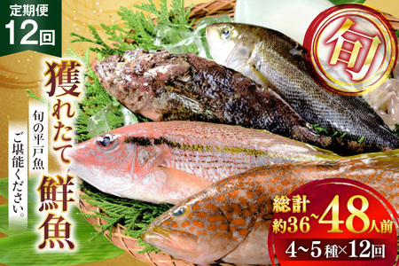 魚 海鮮 地魚 詰合せ4～5種類 12回 定期便 [ひらど新鮮市場 長崎県 平戸市 hr42bgy400192]