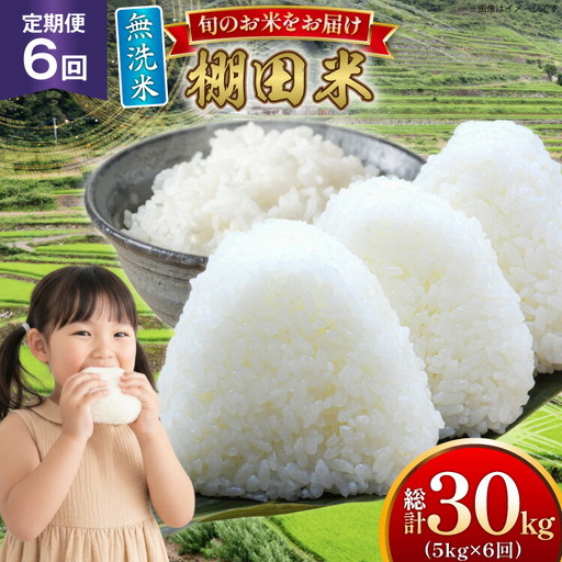 米 令和7年 無洗米 棚田米 5kg 6回 定期便 総計30kg [ひらど新鮮市場 長崎県 平戸市 hr42bgy400194]