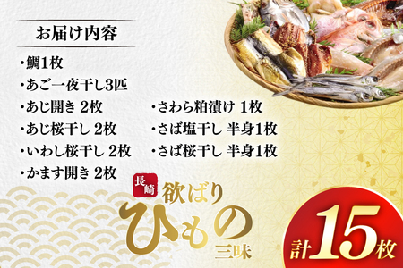 干物 セット 欲ばり 平戸ひもの三昧 9種 詰め合わせ [篠崎海産物店 長崎県 平戸市 hr42bgy410069]