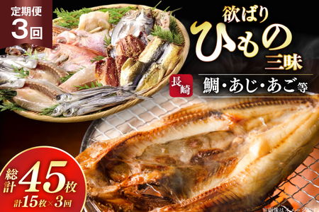 干物 セット 欲ばり平戸ひもの三昧 9種 詰め合わせ 3回 定期便 [篠崎海産物店 長崎県 平戸市 hr42bgy410148]
