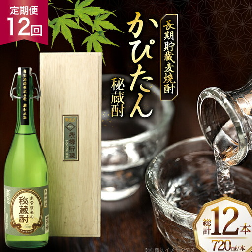 酒 焼酎 かぴたん 720ml 1本 12回 定期便 [福田酒造 長崎県 平戸市 hr42bgy410108]