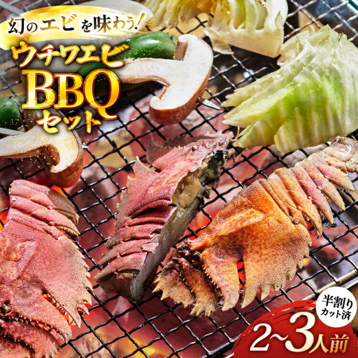 バーベキュー 海鮮 ウチワエビ BBQ セット 安心の地元 野菜付 2～3人前 [ひらど新鮮市場 長崎県 平戸市 hr42bgy400174]