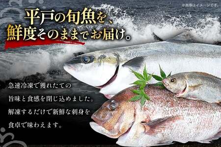 魚 刺身 【1月発送】 3種セット 3人前 各 約150g 総計 約450g [百旬館 長崎県 平戸市 hr42bhb460002]