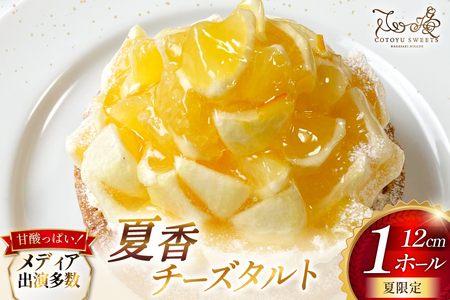 平戸特産 夏香 チーズタルト 1ホール 12cm [心優-Cotoyu sweets- 長崎県 平戸市 hr42bjo490186]