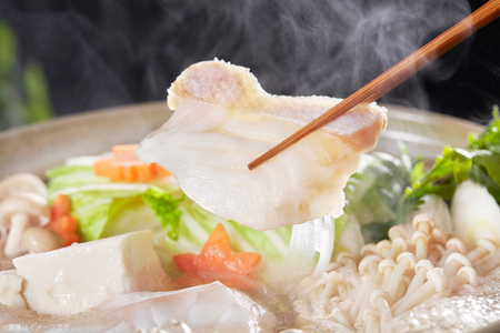 クエ クエ鍋 約1～2人前 セット 切身 約200g 1パック アラ身 約200g 1パック クエ出汁 500ml 2本 [いけす居食家 大徳利 長崎県 平戸市 hr42bgy390097] 