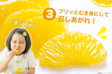 【期間限定発送】 みかん 甘夏 約3kg 6個前後 [ひらど新鮮市場 長崎県 平戸市 hr42bgy400228]