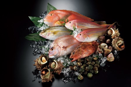 N20-050【ネット限定】朝獲れ!平戸地魚詰合せ定期便(年12回)