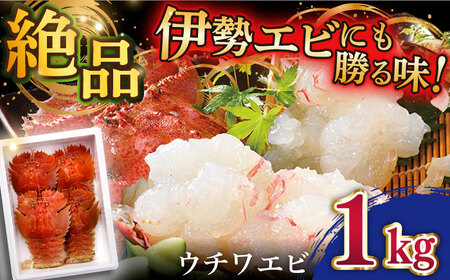 【受付停止】平戸 ウチワエビ 三昧 1000kg【平戸さくら水産】[KAA152]/ 長崎 平戸 魚介類 海老 えび エビ ウチワエビ 味噌汁 フライ 刺身 しゃぶしゃぶ ボイル