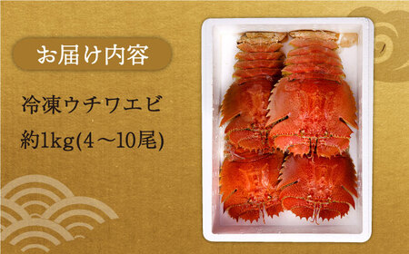 【受付停止】平戸 ウチワエビ 三昧 1000kg【平戸さくら水産】[KAA152]/ 長崎 平戸 魚介類 海老 えび エビ ウチワエビ 味噌汁 フライ 刺身 しゃぶしゃぶ ボイル