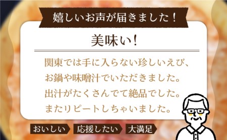 【受付停止】平戸 ウチワエビ 三昧 1000kg【平戸さくら水産】[KAA152]/ 長崎 平戸 魚介類 海老 えび エビ ウチワエビ 味噌汁 フライ 刺身 しゃぶしゃぶ ボイル