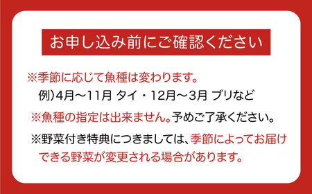 平戸産天然魚しゃぶしゃぶセットー安心の地元野菜付ー【株式会社ひらど新鮮市場】[KAB012]/ 長崎 平戸 魚介類 魚 天然 しゃぶしゃぶ 野菜 セット ブリ タイ 白菜 水菜 春菊 椎茸 しいたけ ねぎ 鍋 なべ 海鮮鍋