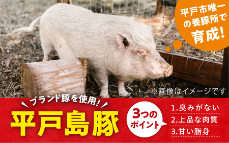 平戸島豚のしゃぶしゃぶセットー安心の地元野菜付ー【株式会社ひらど新鮮市場】[KAB017]/ 長崎 平戸 肉 豚肉 豚 しゃぶしゃぶ 野菜 セット 白菜 春菊 水菜 椎茸 しいたけ