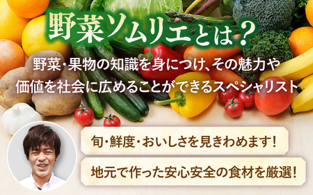 安心の地元野菜と果物のお任せセット【株式会社ひらど新鮮市場】[KAB019]/ 長崎 平戸 野菜 果物 キャベツ アスパラガス ナス 大根 かぶ ミニトマトトマト 玉ねぎ いちご 