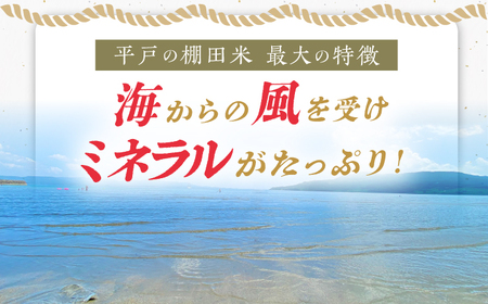 平戸の棚田米無洗米約5kg【株式会社ひらど新鮮市場】[KAB021]/ 長崎