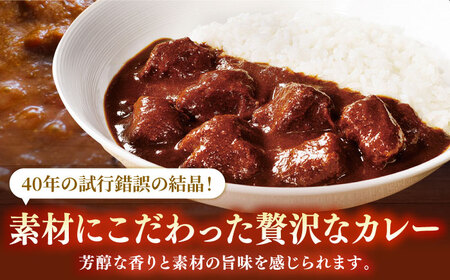 中辛 平戸ビーフカレー 10食【カレー工房　NVfoods】[KAB076]/ 長崎 平戸 惣菜 レトルト ビーフ カレー 長崎和牛 野菜 一人暮らし 防災