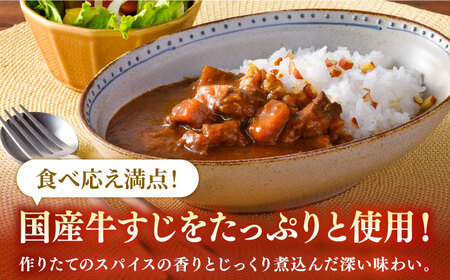 中辛 牛すじカレー 4食【カレー工房　NVfoods】[KAB104]/ 長崎 平戸 惣菜 レトルト ビーフ カレー 長崎和牛 野菜 一人暮らし 防災