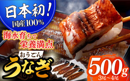 長崎県産おうごんうなぎ約500g3尾-4尾【（有）松永水産】[KAB111]/ 長崎 平戸 魚介類 魚 うなぎ 鰻 ウナギ うなぎ 蒲焼 うなぎ かばやき うなぎ
