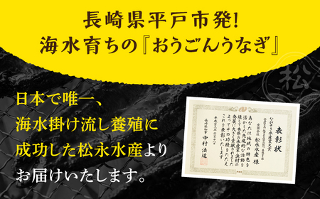 長崎県産おうごんうなぎ約500g3尾-4尾【（有）松永水産】[KAB111]/ 長崎 平戸 魚介類 魚 うなぎ 鰻 ウナギ うなぎ 蒲焼 うなぎ かばやき うなぎ
