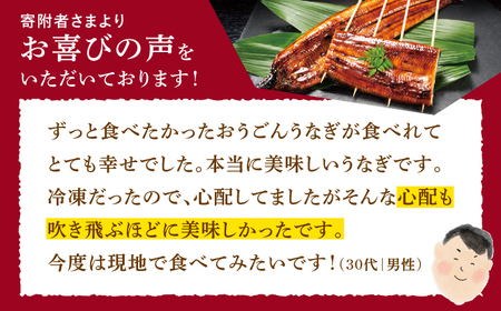 長崎県産おうごんうなぎ約500g3尾-4尾【（有）松永水産】[KAB111]/ 長崎 平戸 魚介類 魚 うなぎ 鰻 ウナギ うなぎ 蒲焼 うなぎ かばやき うなぎ
