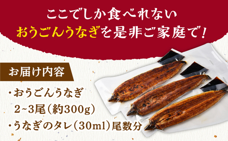 長崎県産おうごんうなぎ約500g3尾-4尾【（有）松永水産】[KAB111]/ 長崎 平戸 魚介類 魚 うなぎ 鰻 ウナギ うなぎ 蒲焼 うなぎ かばやき うなぎ
