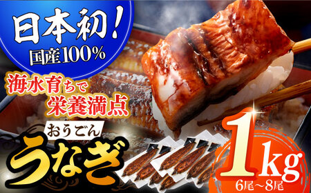 長崎県産おうごんうなぎ松セット約1kg 6尾-8尾【（有）松永水産】[KAB128]/ 長崎 平戸 魚介類 魚 うなぎ 鰻 ウナギ うなぎ 蒲焼 うなぎ かばやき うなぎ うなぎ蒲焼き うなぎ おうごんうなぎ うなぎ 黄金うなぎ うなぎ うなぎの蒲焼き うなぎ うなぎのタレ うなぎ