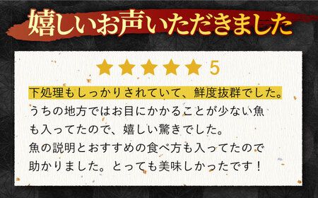 【6回定期便】朝獲れ！平戸地魚詰合せ定期便【平戸瀬戸市場協同組合】[KAA304]/ 長崎 平戸 魚介類 魚 鮮魚 内臓処理 下処理 旬魚 海鮮 定期便