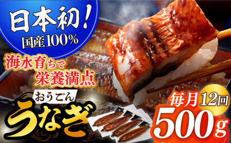 【12回定期便】おうごん うなぎ 500g【（有）松永水産】[KAB143]/ 長崎 平戸 魚介類 魚 うなぎ 鰻 ウナギ うなぎ 蒲焼 うなぎ かばやき うなぎ うなぎ蒲焼き うなぎ おうごんうなぎ うなぎ 黄金うなぎ うなぎ うなぎの蒲焼き うなぎ うなぎのタレ うなぎ 定期便