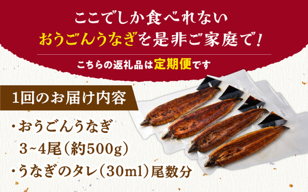 【12回定期便】おうごん うなぎ 500g【（有）松永水産】[KAB143]/ 長崎 平戸 魚介類 魚 うなぎ 鰻 ウナギ うなぎ 蒲焼 うなぎ かばやき うなぎ うなぎ蒲焼き うなぎ おうごんうなぎ うなぎ 黄金うなぎ うなぎ うなぎの蒲焼き うなぎ うなぎのタレ うなぎ 定期便