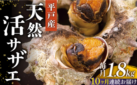 【10回定期便】天然活サザエ 18kg（約1.8kg×10回）【株式会社ひらど新鮮市場】[KAB164]/ 長崎 平戸 魚介類 天然 サザエ 定期便