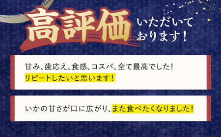 【12回定期便】極鮮ヤリイカ 約500g【海隆丸】[KAB180]/ 長崎 平戸 魚介類 イカ いか ヤリイカ 真空パック 小分け 贈物 贈答 プレゼント 定期便