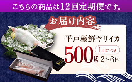 【12回定期便】極鮮ヤリイカ 約500g【海隆丸】[KAB180]/ 長崎 平戸 魚介類 イカ いか ヤリイカ 真空パック 小分け 贈物 贈答 プレゼント 定期便