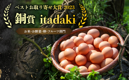 【12回定期便】平飼い放牧 卵 itadaki 24個【ナチュラルエッグラボ】[KAA257]/ 長崎 平戸 卵 純国産 鶏 平飼い もみじ