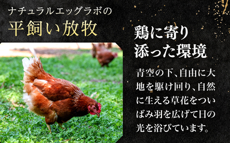 【12回定期便】平飼い放牧 卵 itadaki 24個【ナチュラルエッグラボ】[KAA257]/ 長崎 平戸 卵 純国産 鶏 平飼い もみじ