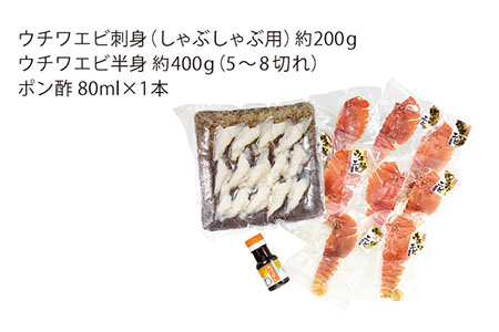 6回定期便】ウチワエビしゃぶしゃぶA刺身・半身セット計3.6kg約600g×6回【ひばり】[KAA232]/ 長崎 平戸 魚介類 海老 エビ ウチワエビ  季節限定 ご当地 グルメ 刺身 しゃぶしゃぶ 定期便 | 長崎県平戸市 | ふるさと納税サイト「ふるなび」